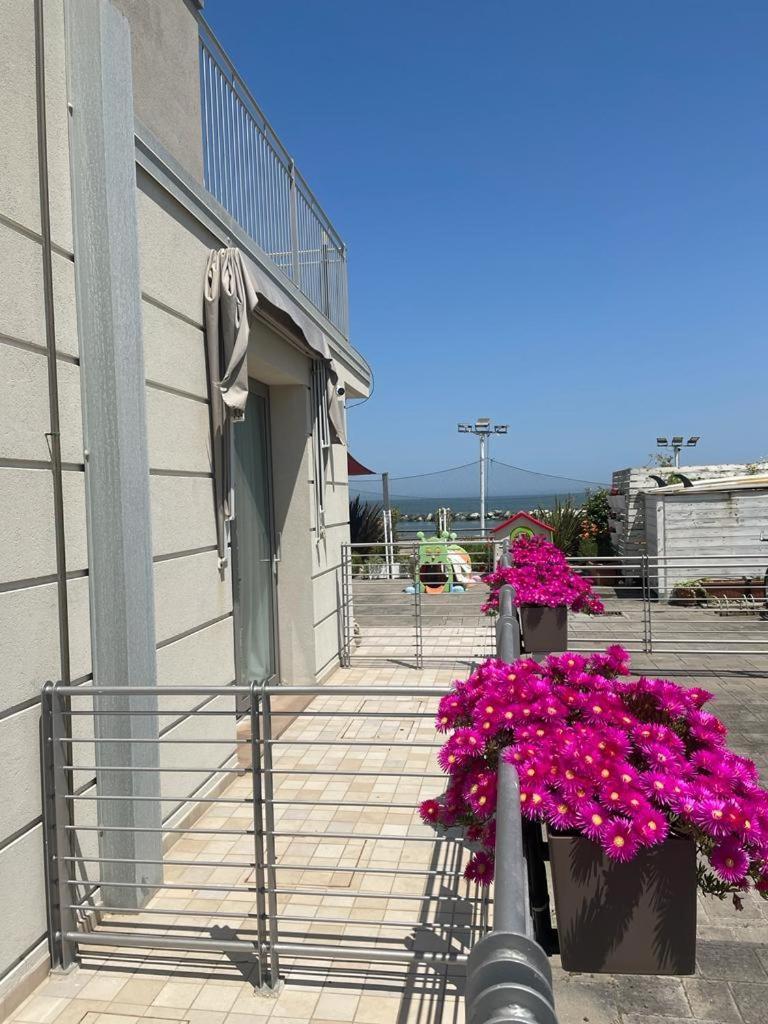 Hotel & Residence Cavalluccio Marino Rimini Kültér fotó